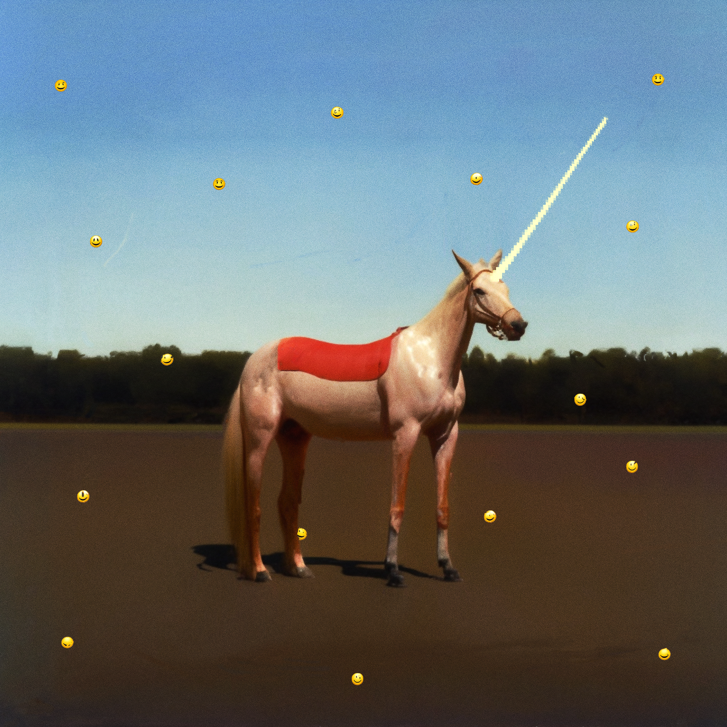 Graphica - Unicorn - Hoodie